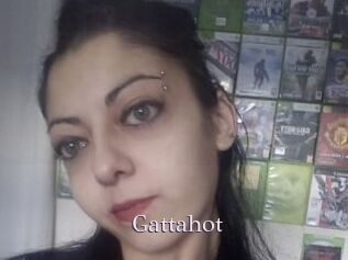 Gattahot