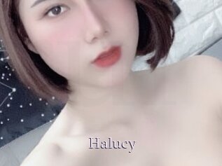 Halucy