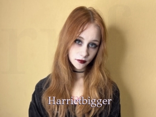 Harrietbigger