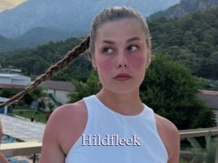 Hildfleek