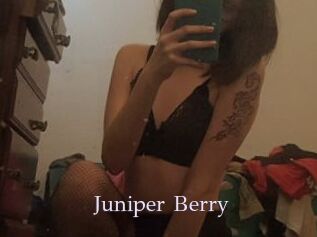 Juniper_Berry