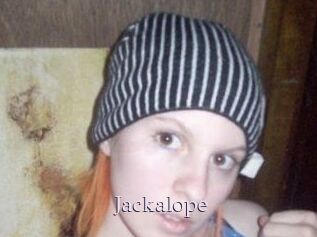 Jackalope
