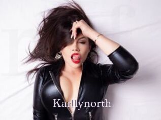 Karllynorth