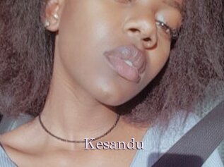Kesandu