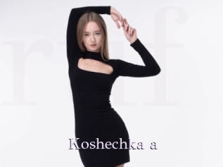 Koshechka_a