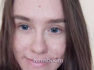 Kriisboom
