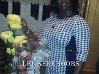 LEKKEREBOOBS
