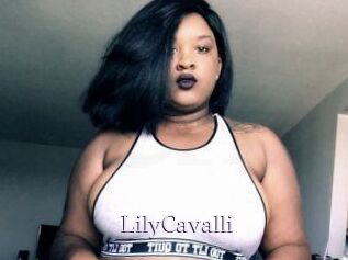 Lily_Cavalli