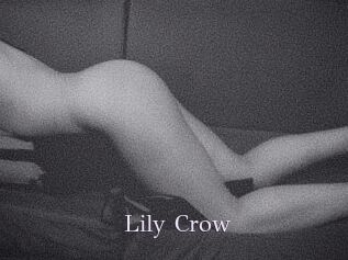 Lily_Crow