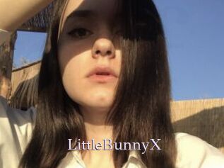 LittleBunnyX