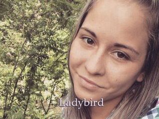 Ladybird