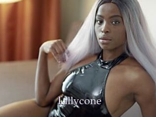 Lillycone