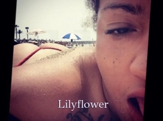 Lilyflower