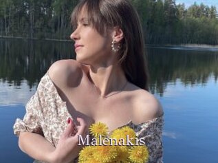 Malenakis