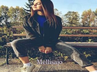 Mellisajo