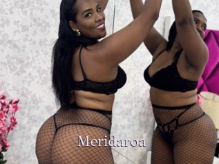 Meridaroa
