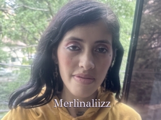Merlinaliizz