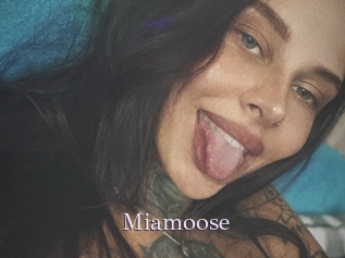 Miamoose