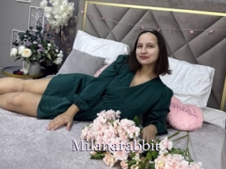 Milanarabbit