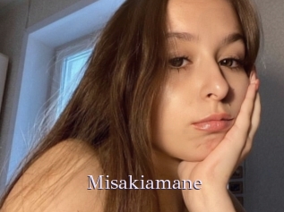 Misakiamane
