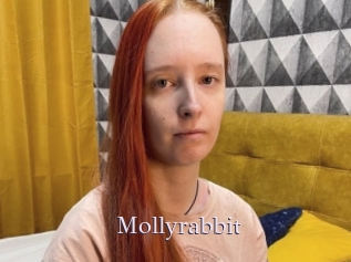 Mollyrabbit