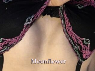 Moonflower