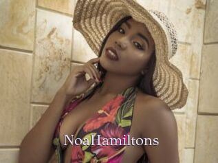 NoaHamiltons