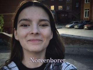 Noreenborer
