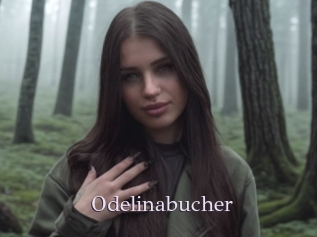 Odelinabucher
