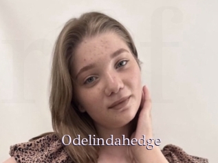 Odelindahedge