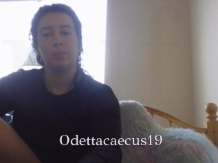 Odettacaecus19