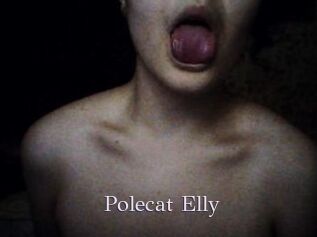 Polecat_Elly