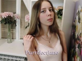 PurrrfectJane