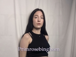 Primrosebingham