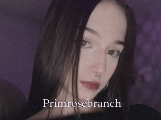 Primrosebranch