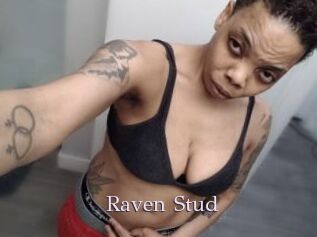 Raven_Stud