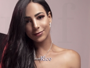 Rice