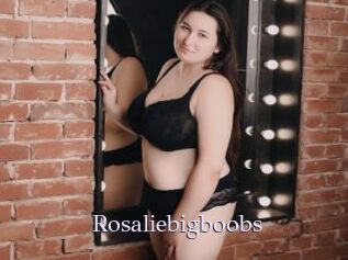 Rosaliebigboobs