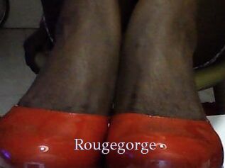 Rougegorge