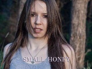 SMALL_HONEY