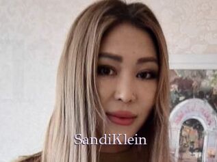 SandiKlein