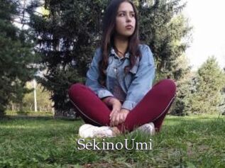 SekinoUmi
