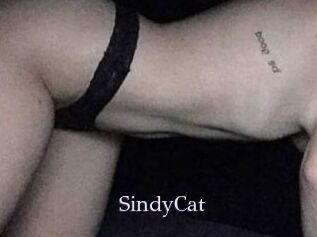 SindyCat