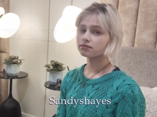 Sandyshayes