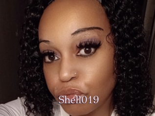 Shell019