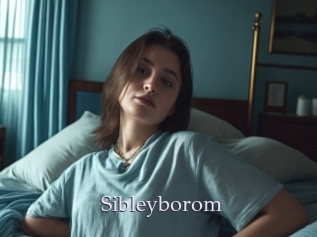 Sibleyborom