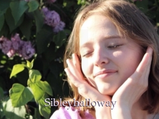 Sibleyhalloway