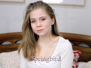 Springbird