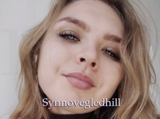 Synnovegledhill
