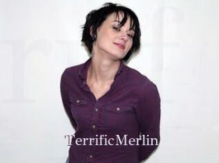 TerrificMerlin